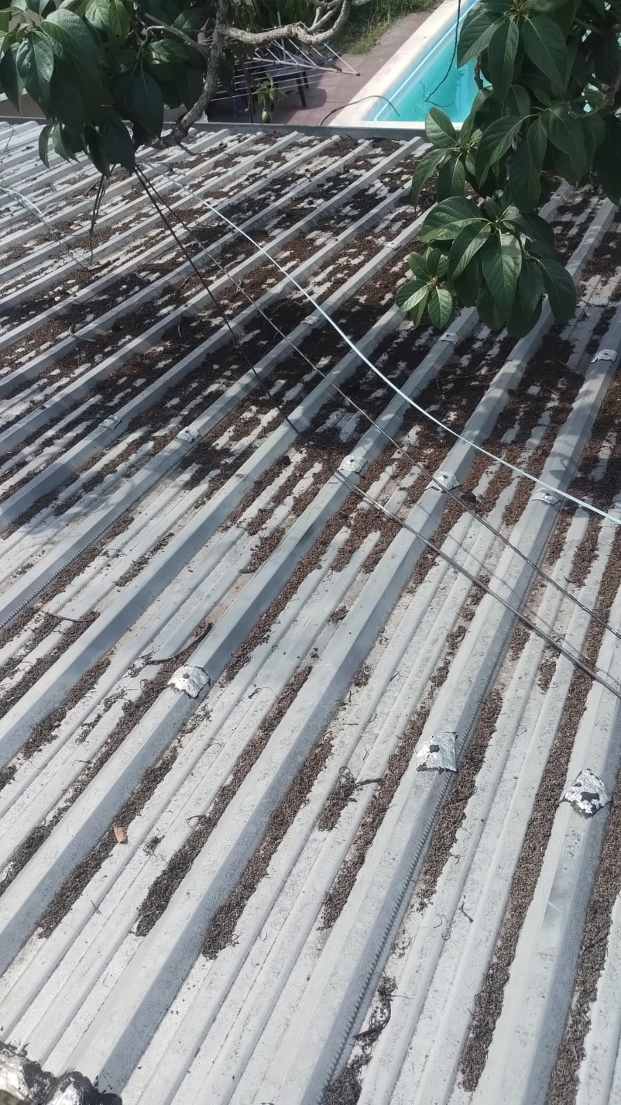 Alfombra artesanal de piel bovina en ambiente decorado, 9